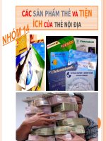 CÁC SẢN PHẨM THẺ VÀ TIỆN ÍCH CỦA THẺ NỘI ĐỊA