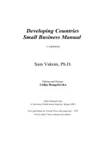Developing Countries Small Business Manual docx