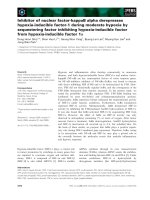 Báo cáo khoa học: Inhibitor of nuclear factor-kappaB alpha derepresses hypoxia-inducible factor-1 during moderate hypoxia by sequestering factor inhibiting hypoxia-inducible factor from hypoxia-inducible factor 1a ppt