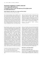 Báo cáo Y học: Functional assignment of motifs conserved in b1,3-glycosyltransferases A mutagenesis study of murine UDP-galactose:b-N-acetylglucosamine b1,3-galactosyltransferase-I pptx