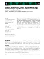 Báo cáo khoa học: Reaction mechanisms of thiamin diphosphate enzymes: deﬁning states of ionization and tautomerization of the cofactor at individual steps docx