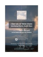 A Closer Look at Air Pollution in Houston: Identifying Priority Health Risks pptx