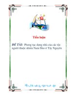 tiểu luận: Phong tục dựng nhà của các tộc người thuộc nhóm Nam Đảo ở Tây Nguyên pdf