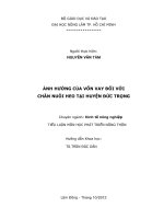 ảnh hưởng của vốn vay đối với chăn nuôi heo tại huyện đức trọng