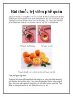 Bài thuốc trị viêm phế quản potx