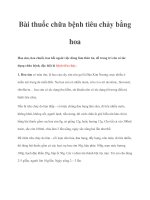 Bài thuốc chữa bệnh tiêu chảy bằng hoa pptx