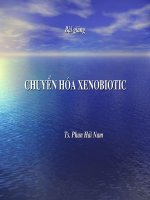 Chuyển hoá Xenobiotic pdf
