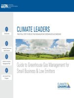 Guide to Greenhouse Gas Management for Small Business & Low Emitters doc