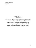 Tổ chức thực hiện phương án xuất khẩu của Công ty cổ phần giày dép xuất khẩu LEMEXCOM