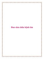 Đan sâm chữa bệnh tim. pot