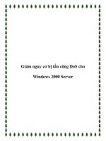 Giảm nguy cơ bị tấn công DoS cho Windows 2000 Server docx
