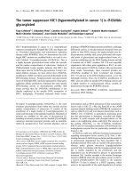 Báo cáo khoa học: The tumor suppressor HIC1 (hypermethylated in cancer 1) is O-GlcNAc glycosylated doc