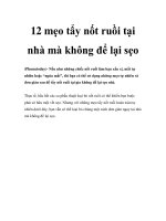 12 mẹo tẩy nốt ruồi tại nhà mà không để lại sẹo pptx