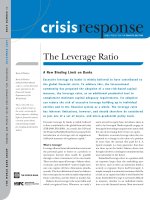 PUBLIC POLICY FOR THE PRIVATE SECTOR: The Leverage Ratio pptx