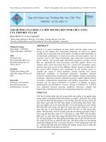 ẢNH HƯỞNG CỦA GIỐNG VÀ MÔI TRƯỜNG ĐẾN TÍNH CHỨC NĂNG CỦA TINH BỘT LÚA MÌ pot