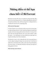 Những điều có thể bạn chưa biết về BitTorrent doc