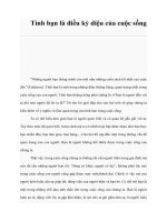 Tình bạn là điều kỳ diệu của cuộc sống doc