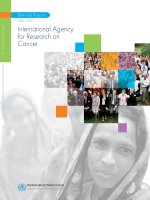 INTERNATIONAL AGENCY FOR RESEARCH ON CANCER BIENNIAL REPORT 2006 -2007 pptx