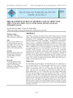 HIỆU QUẢ KINH TẾ XÃ HỘI CÁC MÔ HÌNH CANH TÁC TRIỂN VỌNG TRÊN VÙNG ĐẤT PHÈN TẠI XÃ VĨNH THẮNG, HUYỆN GÕ QUAO, TỈNH KIÊN GIANG doc