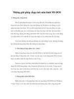 Những giải pháp chụp ảnh màn hình MS-DOS ppt