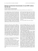 Báo cáo khoa học: Molecular and functional characterization of novel CRFR1 isoforms from the skin pptx