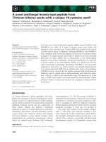 Báo cáo khoa học: A novel antifungal hevein-type peptide from Triticum kiharae seeds with a unique 10-cysteine motif doc