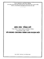 Báo cáo tổng kết Tình hình thực hiện chương trình Xây dựng các Mô hình ứng dụng khoa học và công nghệ phục vụ phát triển kinh tế xã hội nông thôn và miền núi giai đoạn 1998-2002 docx