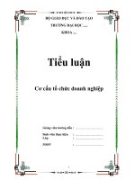 Tiểu luận: Cơ cấu tổ chức doanh nghiệp pot