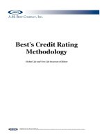 Best’s Credit Rating Methodology : Global Life and Non-Life Insurance Edition potx