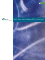 MOBILE MARKETING SWEEPSTAKES & PROMOTIONS GUIDE 2007 potx