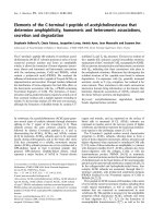 Báo cáo khoa học: Elements of the C-terminal t peptide of acetylcholinesterase that determine amphiphilicity, homomeric and heteromeric associations, secretion and degradation docx
