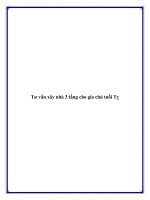 Tư vấn xây nhà 3 tầng cho gia chủ tuổi Tỵ pptx