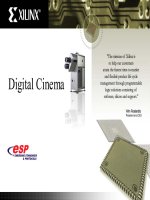 Digital Cinema pdf