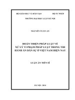hoàn thiện pháp luật về xử lý vi phạm pháp luật trong thi hành án dân sự ở việt nam hiện nay