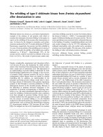 Báo cáo Y học: The refolding of type II shikimate kinase from Erwinia chrysanthemi after denaturation in urea pot