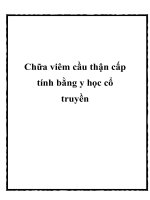 Chữa viêm cầu thận cấp tính bằng y học cổ truyền ppt