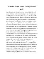 Cho trẻ được tự do 