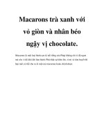 Macarons trà xanh với vỏ giòn và nhân béo ngậy vị chocolate potx