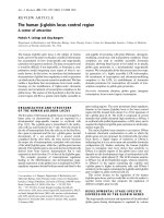 Báo cáo Y học: The human b-globin locus control region A center of attraction potx