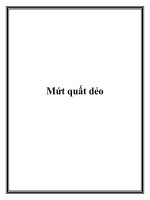 Mứt quất dẻo docx