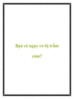Bạn có nguy cơ bị trầm cảm? doc