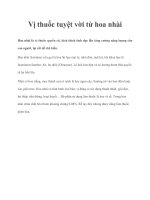 Vị thuốc tuyệt vời từ hoa nhài pptx