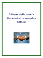 Mối quan hệ giữa tập quán thương mại với các nguồn pháp luật khác pot