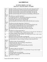 Sự sống trong các đại thái cổ - nguyên sinh - cổ sinh pot