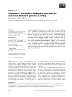 Báo cáo khoa học: Epigenetics: the study of embryonic stem cells by restriction landmark genomic scanning pptx