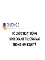 bài giảng tổ chức hoạt động kinh doanh thương mại trong nền kinh tế