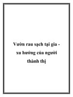 Vườn rau sạch tại gia xu hướng của người thành thị doc