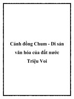 Cánh đồng Chum - Di sản văn hóa của đất nước Triệu Voi doc
