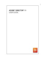 ADOBE® DIRECTOR® 11 USER GUIDE pptx