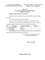 bao cao phan cong nhiem vu chi doan